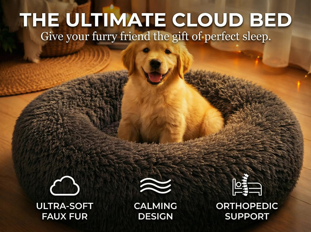 Cloud Bed